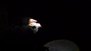 РЫБАЛКА с НОЧЕВКОЙ. ТЕПЛЫЙ КАНАЛ НчГРЭС.