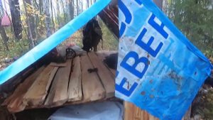 Строительство большого укрытия в лесу для отдыха и рыбалки на озере.