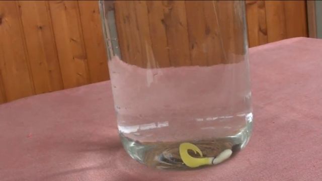 Я не ловлю с джиг-головкой!!! смотреть онлайн