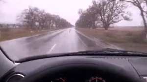 разведение кроликов для начинающих. Заводим Полтавское Серебро.