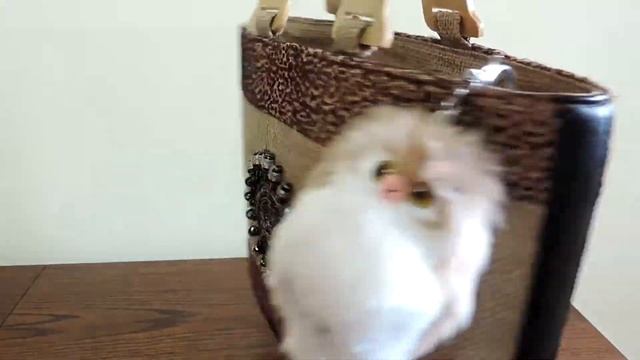 Сова брелок аксессуар на сумочку из Китая смотреть онлайн