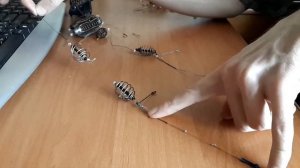 ? УБИЙЦА КАРАСЯ 2.0 - модернизированная. Монтаж снасти/оснастки для рыбалки своими руками. Кормушк