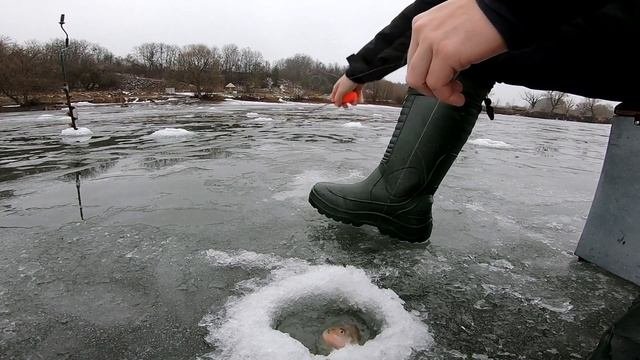 Королевский Ёрш, таких я ещё не ловил! #зимняярыбалка