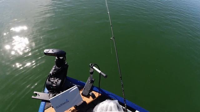 BERKLEY Ripple Shad - What is it good for? смотреть онлайн