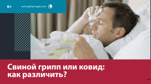 Свиной грипп выявили в 55 регионах страны — Москва FM