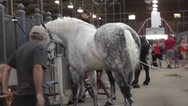 огромные лошади / big horses смотреть онлайн