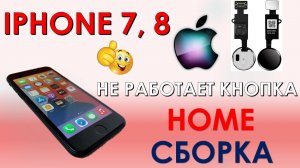 IPHONE 7,8  НЕ РАБОТАЕТ КНОПКА HOME ИЛИ СБОРКА ДЛЯ ЛЕНИВЫХ