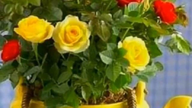 5 июня 2022 г. смотреть онлайн