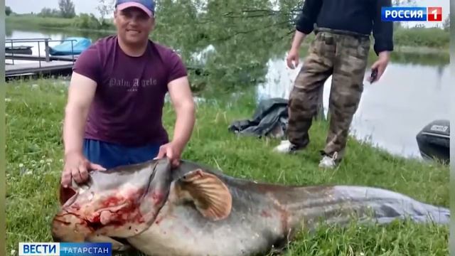 17.07.2022г. Наши в телевизоре. Клёвое местечко. Камское устье смотреть онлайн