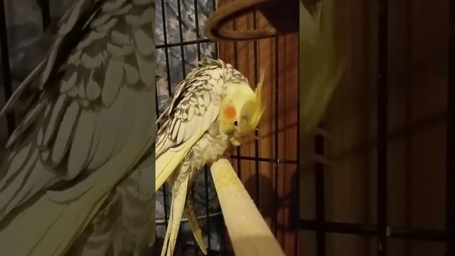 Самое главное помыть ноги перед сном ??