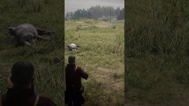 RDR 2 hunting