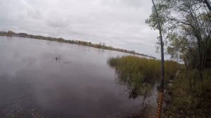Рыбалка на Волхове | Закрытие сезона