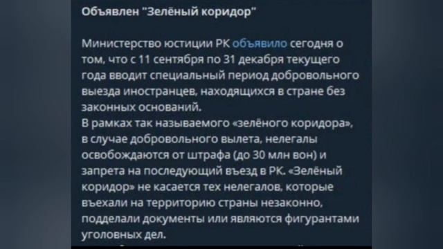 КОРЕЯ. Нелегал. Депортация. Зеленый коридор #корея #работавкорее #арбайт #кордаркорея