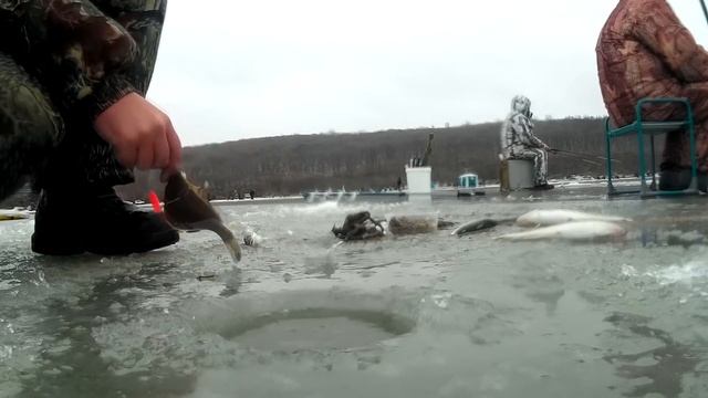 ЗИМНЯЯ РЫБАЛКА КОМБАЙНЫ. ОГРОМНЫЙ КОСЯК РЫБЫ ПОД НОГАМИ!