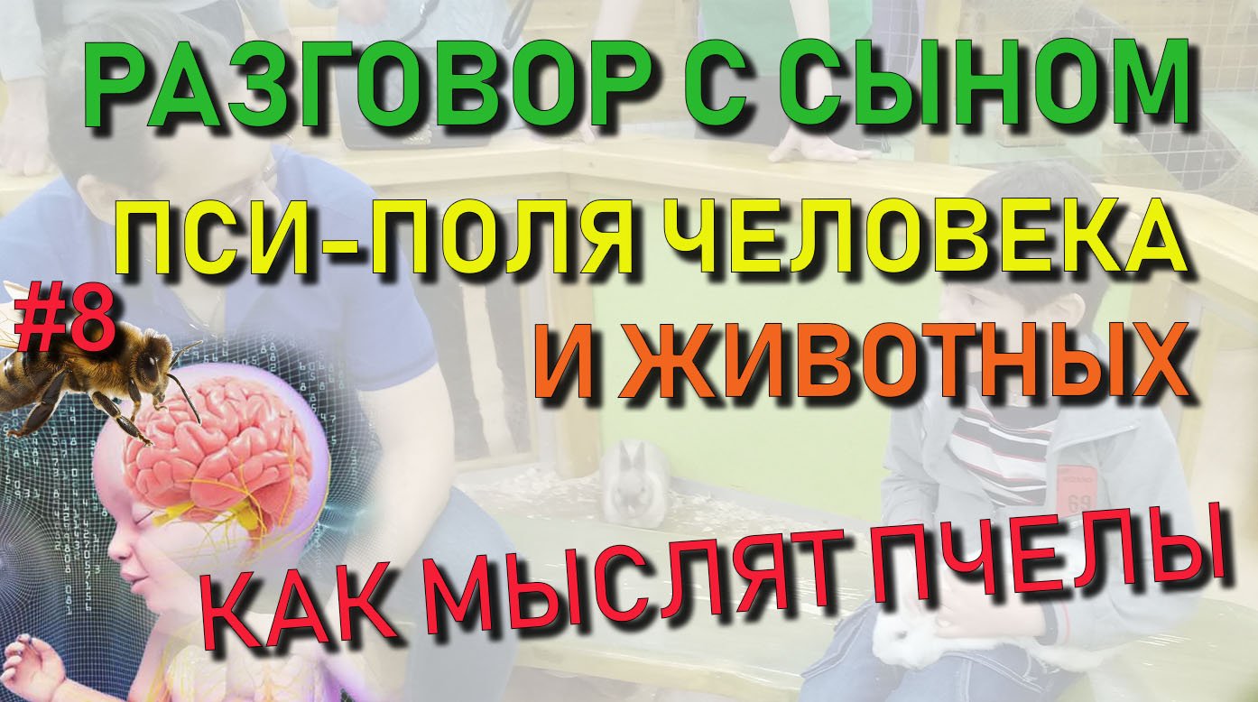 ✅ Разговор с сыном #8: Пси поля человека и животных. Как мыслят пчелы, муравьи и мыши Пси оружие