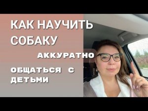 Как научить собаку аккуратно общаться с детьми
