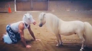 ПРИКОЛЫ С ЛОШАДЬМИ-ВАУ!!!FUNNY HORSES-СМЕШНЫЕ ЛОШАДИ- CUTE ANIMALS(HORSES)/Funny jokes with horses