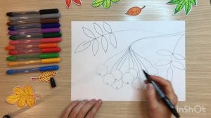 Рябина рисунок для детей. Ветка рябины рисунок. Гроздь рябины рисунок. Картинка рябины рисование.