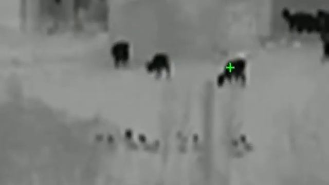 TERMOWIZOR HIKVISION LYNX H15 смотреть онлайн