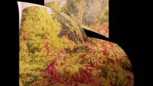 Стихи о жизни
Совершенство Природы  Татьяна Логиновская