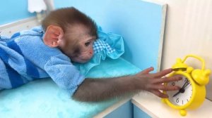 Bon Bon Making Colorful Popcorn