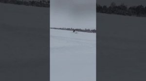 BRP ski-doo skandik swt800 и wt lc600 по глубокому снегу