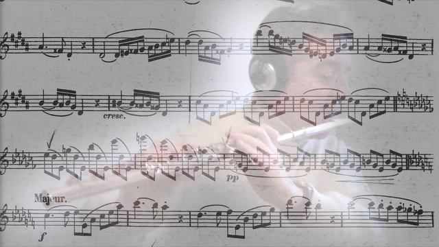 Th.Boehm "Étude" n°16 op. 26 (Harmonized) смотреть онлайн