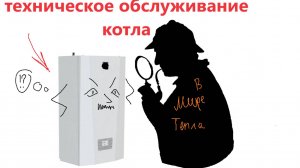ТО котла: Что проверяет специалист? Зачем? Ключевые вещи, которые проверяют на ТО.