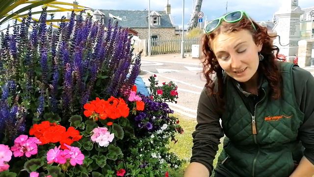 Week One Stay Wild At Home Flower Pressing смотреть онлайн