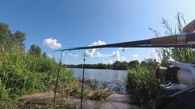 Супер рыбалка прямо в городе на реке Охта...