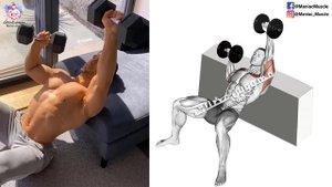 11 Exercise Chest Workout with Push up and Dumbbell At Home