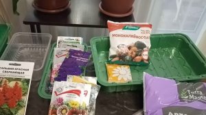 🌱Готовлюсь к посадке цветов на рассаду. Основное,на что нужно обратить внимание!