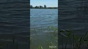 Илфир Искандаров ,,Комеш Кул"