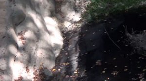 Агурское ущелье, Агурские водопады, экскурсия, Краснодарский край