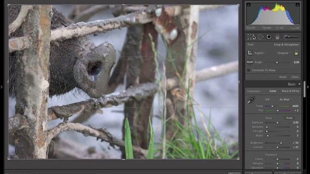 Lightroom 3 - wywoływanie zdjęcia (1 z 2) смотреть онлайн