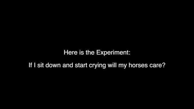 Crying In Front Of My Horses To See How They Will React !! смотреть онлайн