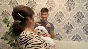 Подарили собаку маме на Рождество 2023 года