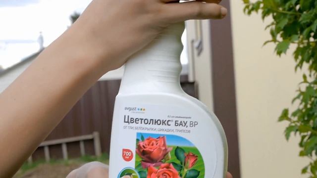 Цветолюкс и Чистоцвет БАУ смотреть онлайн