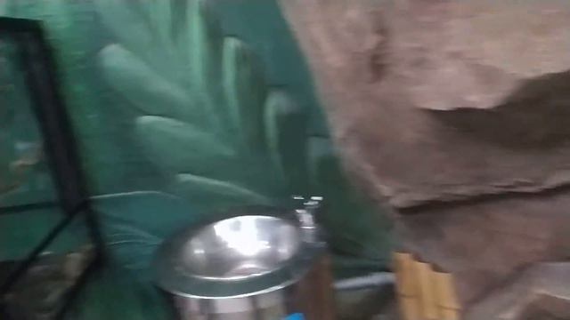 Как я побывал в зоопарке. смотреть онлайн