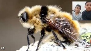 ПОПРОБУЙ НЕ СКАЗАТЬ "ФУ". (САМОЕ ПРОТИВНОЕ ВИДЕО В МИРЕ)