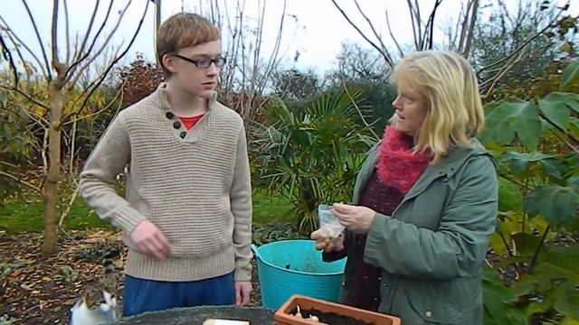 The Science of Growing - sowing Iris reticulata with Josh смотреть онлайн