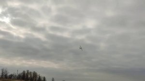 полет радиоуправляемого самолета изготовленного своими руками из пенопласта