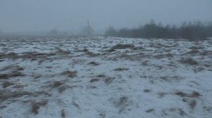 КОП МОНЕТ КОГДА НЕ ВЕЗЕТ МОИ НАХОДКИ С МЕТАЛЛОИСКАТЕЛМ ПОИСК ЦАРСКИХ МОНЕТ В УРОЧИЩЕ