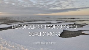 Новогодняя прогулка по берегу моря