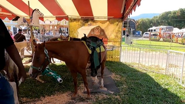 США Ехали в горы а попали на ярмарку / Выставка достижений фермеров в Америке/ Что купили на ярмарк смотреть онлайн