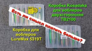 Коробка для воблеров Kosadaka TB2100. Обзор и сравнение с коробкой LureMax 5319T