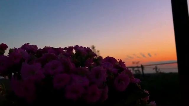 Ислам -моя религия смотреть онлайн