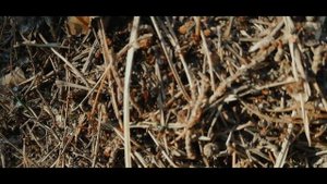 Мощная туристическая горелка 1500 ват Обзор плиты " РУЧНОЕ ПЛАМЯ"от компании СЛЕДОПЫТ.