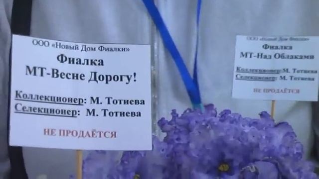 ДФ. М.Тотиева. Сенполии селекции МТ-