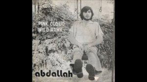 Abdallah Geahel - Wild Hawk